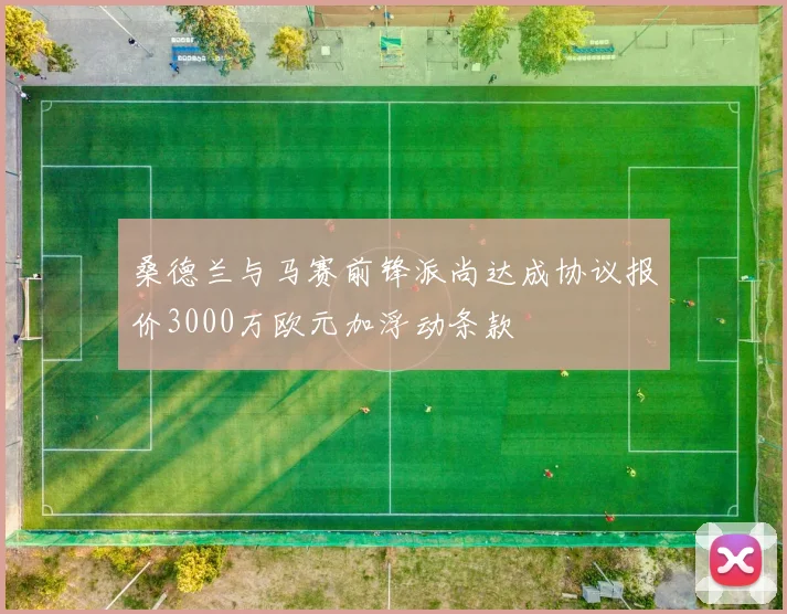 桑德兰与马赛前锋派尚达成协议报价3000万欧元加浮动条款