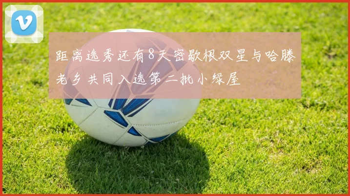 距离选秀还有8天密歇根双星与哈滕老乡共同入选第二批小绿屋