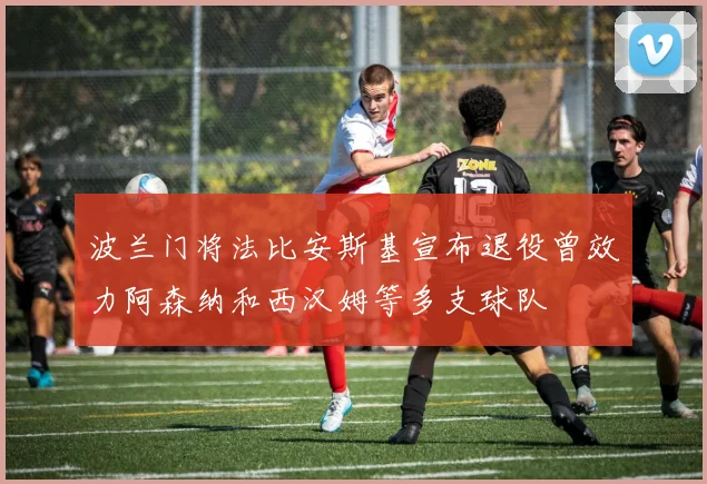 波兰门将法比安斯基宣布退役曾效力阿森纳和西汉姆等多支球队
