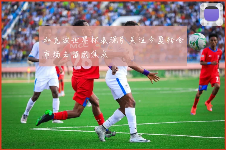 加克波世界杯表现引关注今夏转会市场去留成焦点
