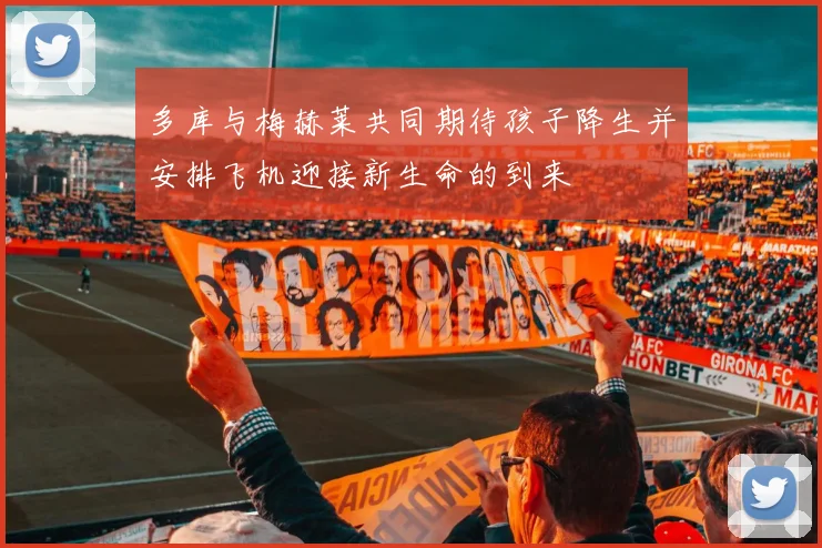 多库与梅赫莱共同期待孩子降生并安排飞机迎接新生命的到来