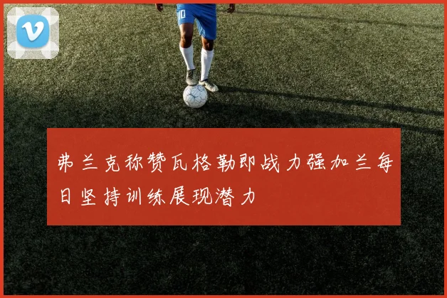 弗兰克称赞瓦格勒即战力强加兰每日坚持训练展现潜力